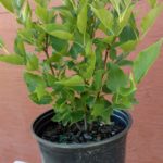 IMG_20170601_094205729