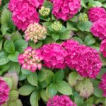 IMG_20170630_095623950