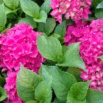 IMG_20170630_095705654