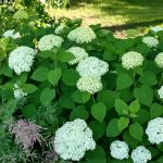 IMG_20170706_182030863_HDR