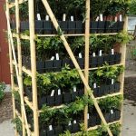 Racked Pallet