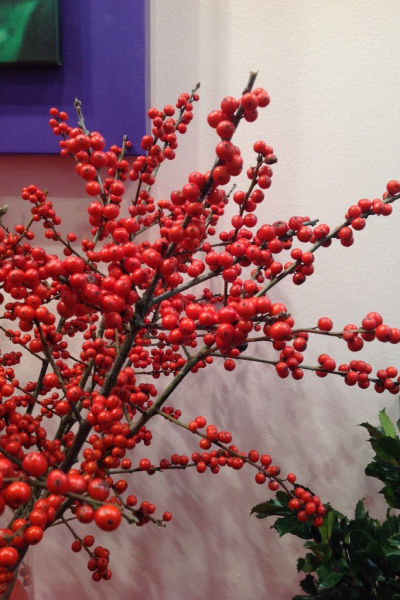 ilex-magical-showtime-0003