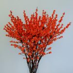 ilex-magical-daydream-0002